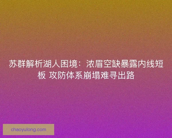 苏群解析湖人困境：浓眉空缺暴露内线短板 攻防体系崩塌难寻出路